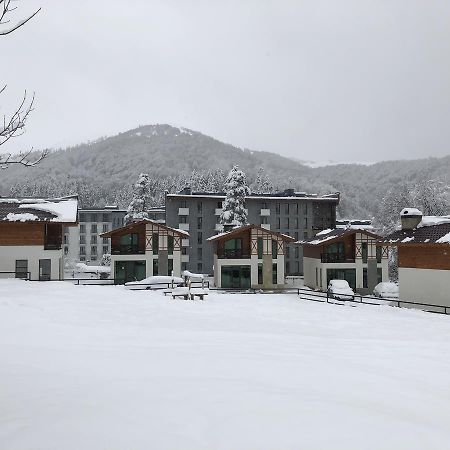 Коттедж В Бакуриани Экстерьер фото