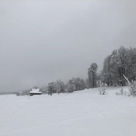 Коттедж В Бакуриани Экстерьер фото